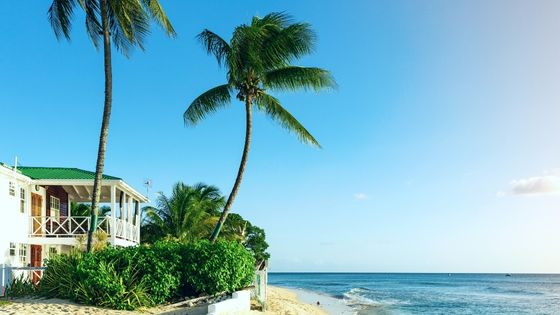 4 Things You Didn’t Know About Renting Homes in Barbados