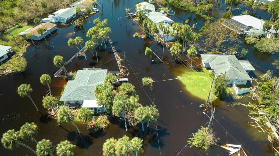 Tips To Protect Your Barbados Home From Natural Disasters