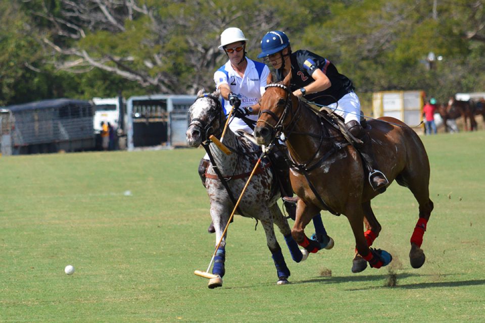 Cheshire Polo Tour