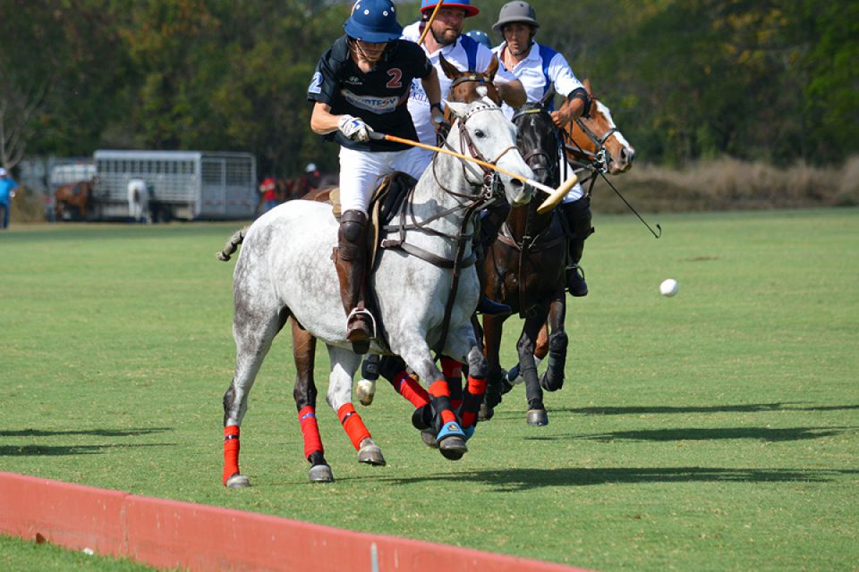 Cheshire Polo Tour